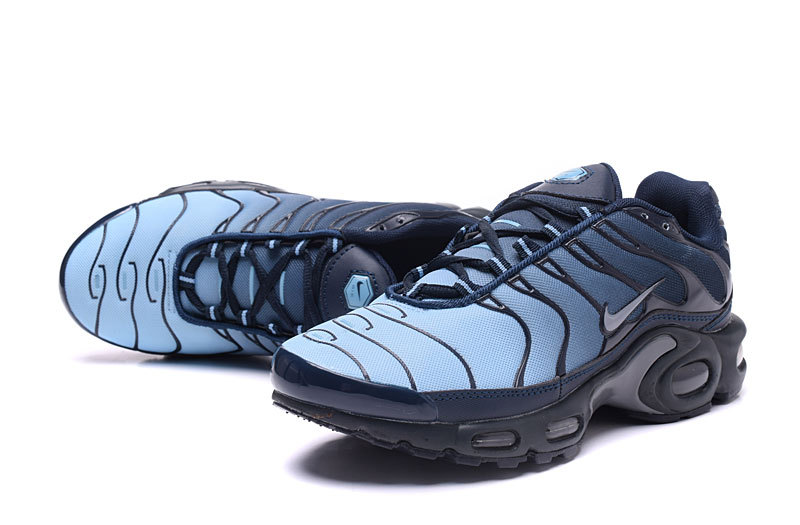 nike tn bleu noir
